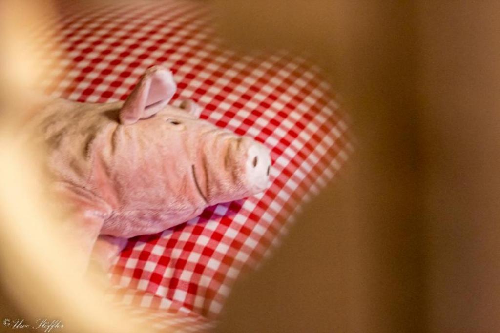 Ferienhaus Rote Sau Herrentierbach Bagian luar foto